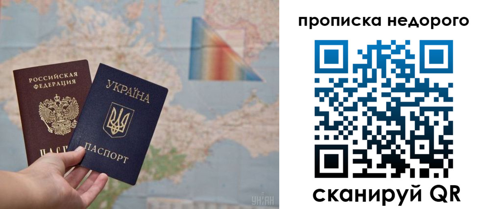 прописка поиск в Химках